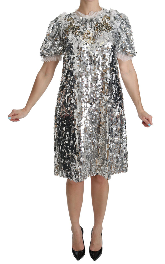 Dolce & Gabbana Elegant Silver A-Line Dress with Crystal Accents