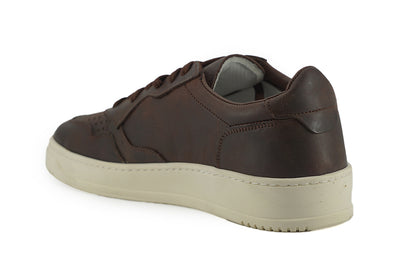 Saxone of Scotland Exclusive Leather Fabric Sneakers in Brown