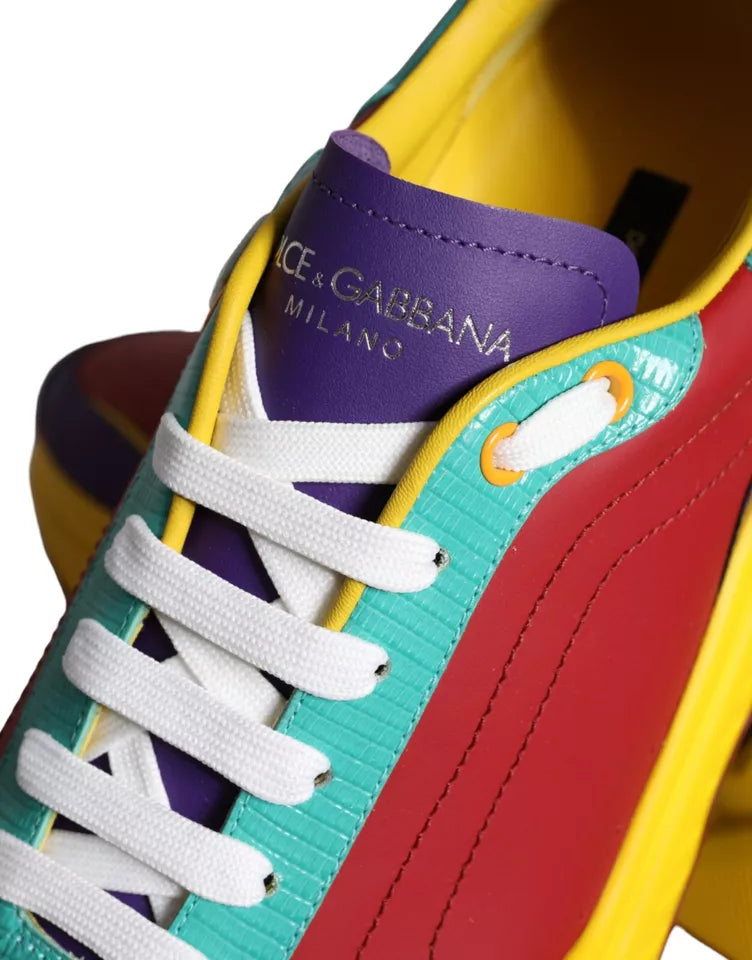 Dolce & Gabbana Multicolor Daymaster Low Top Sneakers Shoes