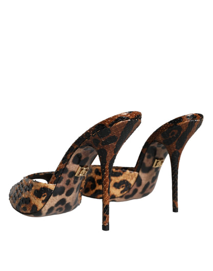 Dolce & Gabbana Brown Leopard Leather Slides Heels Sandals Shoes