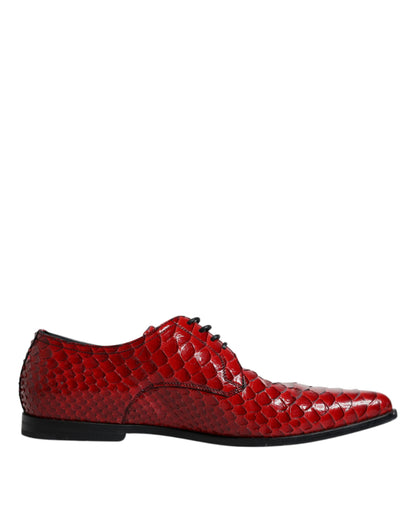 Dolce & Gabbana Red Textured Varnished Derby Men Formal Shoes