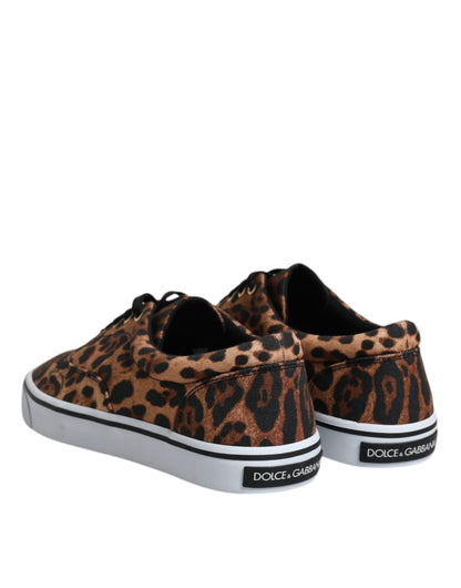 Dolce & Gabbana Brown Leopard Logo Print Cotton Sneakers Shoes