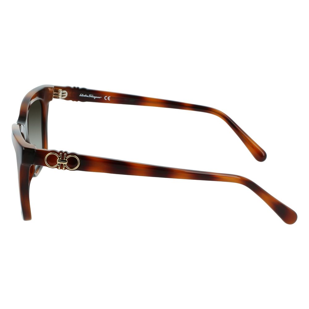 Ferragamo Brown Injected Sunglasses