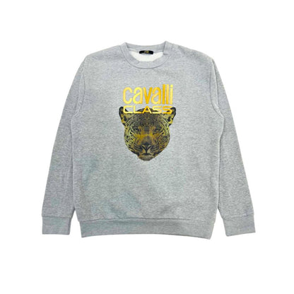 Cavalli Class Gray Polyester Sweater